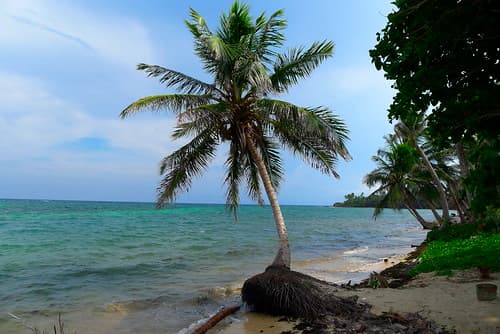 Little Corn Island