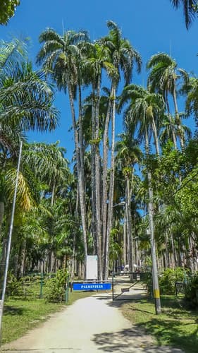 Palmentuin, Paramaribo