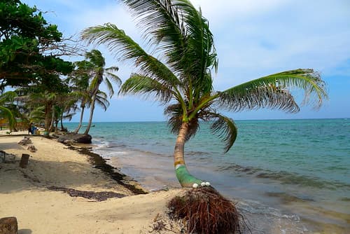 Little Corn Island