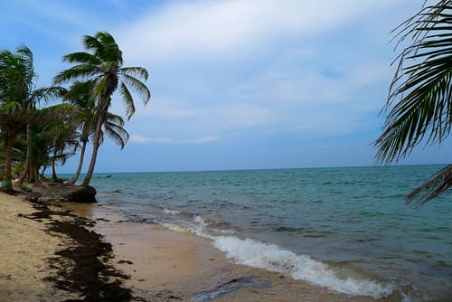 Little Corn Island