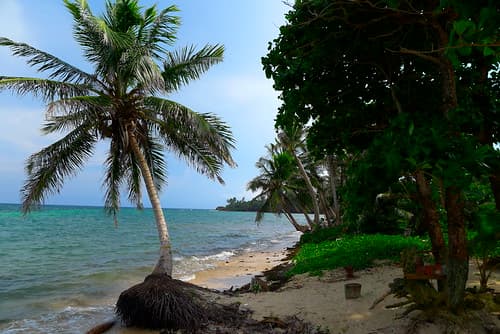 Little Corn Island
