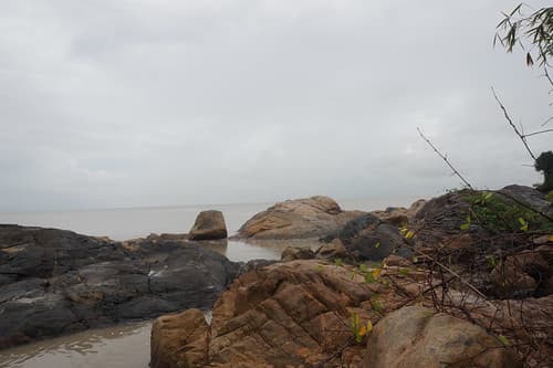 Cote de Cayenne près de Montabo, décembre 2016