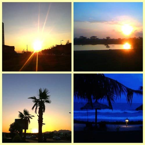 Rotterdam, Tsavo East Kenia, Sharm el Sheikh Egypte, Phan Thiet Vietnam