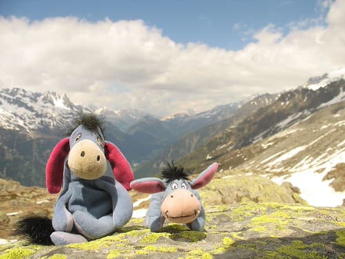 Eeyore's in the Alps, Chamonix, France