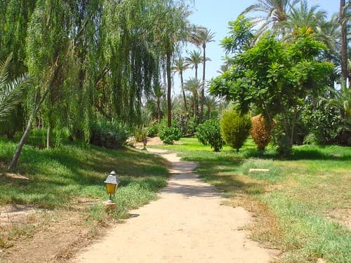 La végétation marocaine