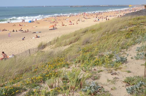 Anglet