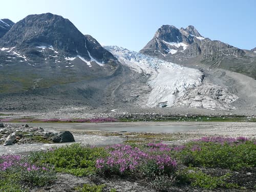 Glacier