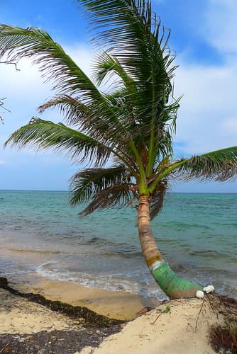 Little Corn Island