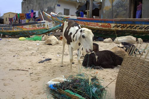 Saint-Louis, Senegal