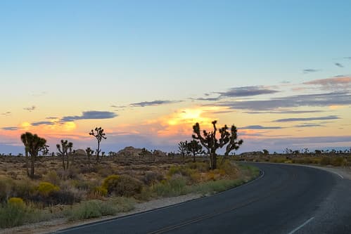 Sunset at Joshua Tree NP, California