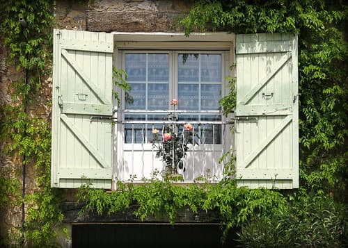 Roses, Tourtour, Var, Provence