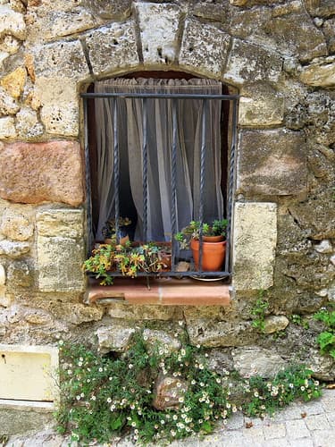 A succulent window sill, Tourtour, Var, Provence