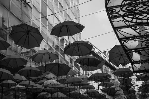 Belgrade Serbie — photo de loranger