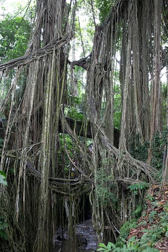 20190601-092433.jpg