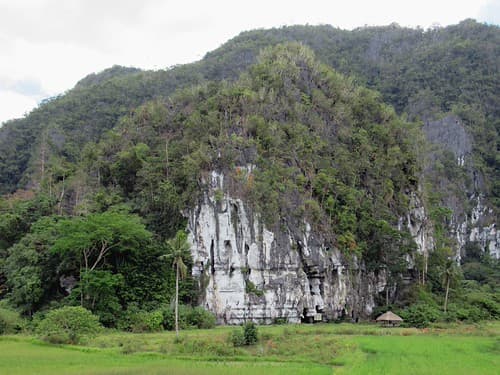 Elephant Cave