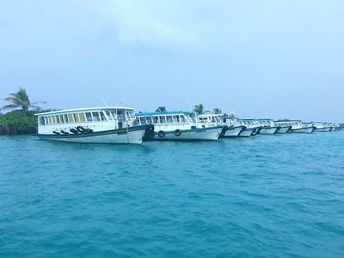 Malé