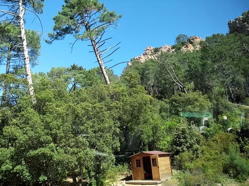 FORÊT DOMANIALE DE PIANA