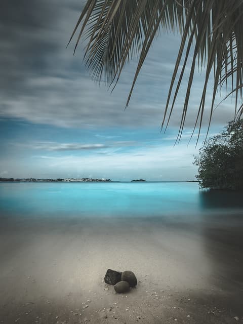 hotel riu negril