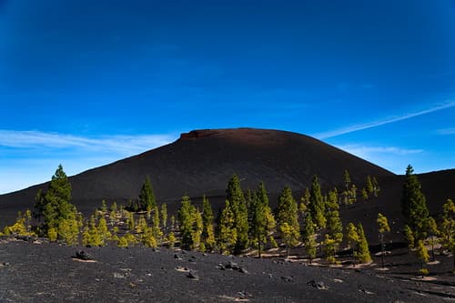 Black Landscape