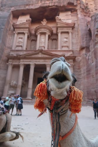 Petra (99)