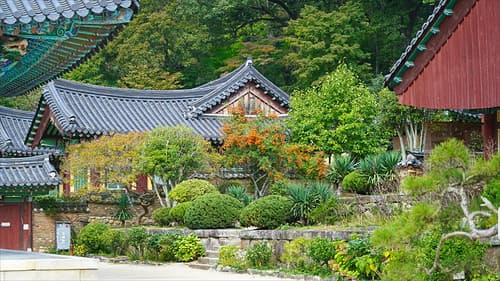 Le temple Songgwang-sa (Corée du sud)