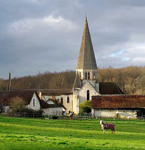 Faverolles-sur-Cher (Loir-et-Cher)