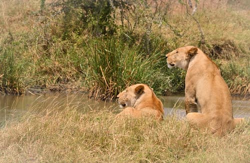Tanzanie-11