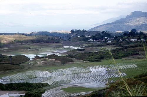 02-Sumatra