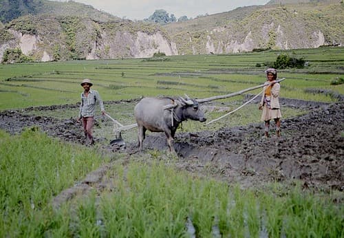 04-Sumatra