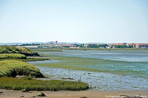 Estuário do Tejo - Sarilhos Pequenos - Portugal 🇵🇹