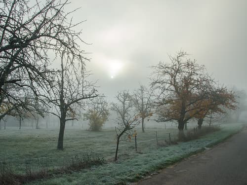 Paysage horrifique