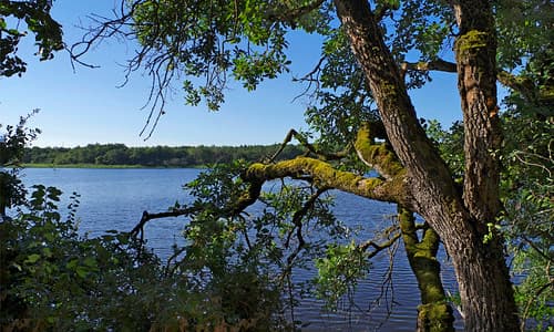 Douadic (Indre)