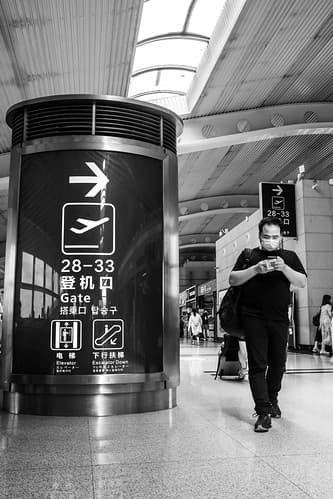 Lost in transit
