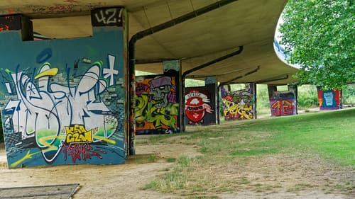 2020-08-01_11-29-31_ILCE-6500_DSC01158_DxO