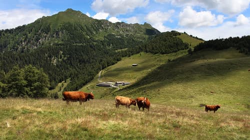 Auf der Alpe Croveggia mit Blick zum Corno di Gesero