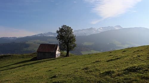 Zwischen Göbsi und Obergaden mit Blick zum Säntis