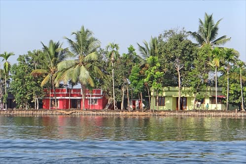 Dans les Backwaters (Kerala, Inde)