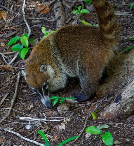 2017-12-11_12-55-20_ILCE-6500_DSC07900_DxO_Redo_PL4