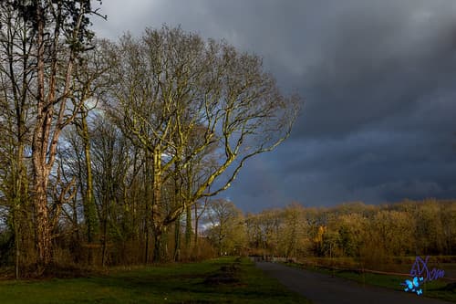 2021 - Promenade hivernale…