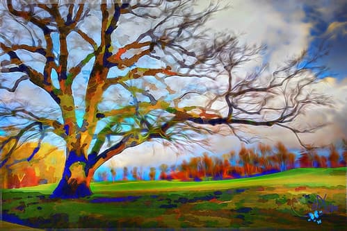 2021 - Promenade hivernale…