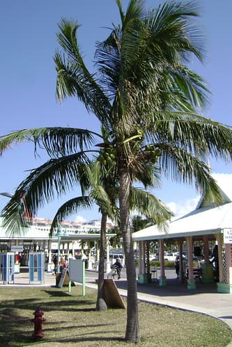 Freeport Cruise Port - 2009