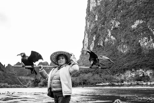 The lady from the Li river