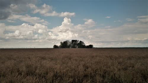 Roumanie Roumanie — photo de fusion-of-horizons