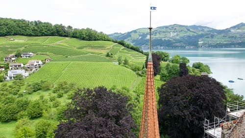d-Spiez - 9
