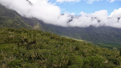 Paysage de l'ile de la réunion