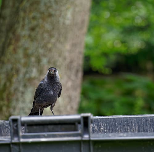 2021-07-24_15-21-36_ILCE-7C_DSC06813_DxO