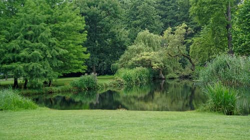 2021-07-24_15-38-57_ILCE-7C_DSC06857_DxO