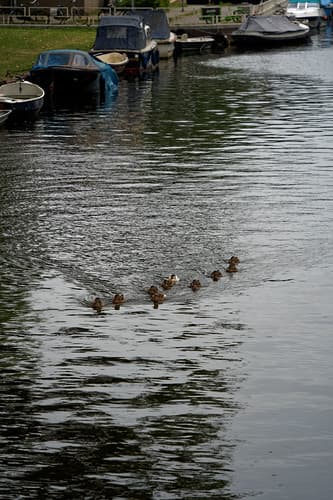 2021-07-24_16-36-30_ILCE-7C_DSC06953_DxO