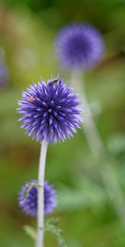 2021-07-25_10-59-17_ILCE-7C_DSC07303_DxO