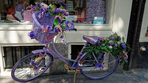 2021-07-25_14-27-30_ILCE-7C_DSC07733_DxO